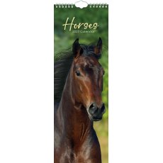 Gifted Stationary Slimline Horses Calendar 2027