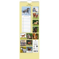 Gifted Stationary Slimline Horses Calendar 2027