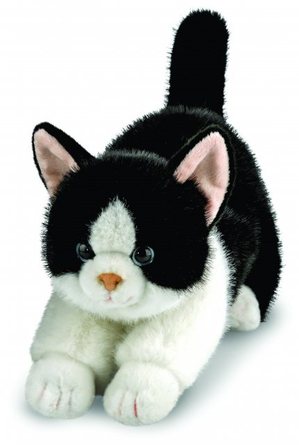 Aurora Borealis Domino Black & White Cat Soft Toy 12"