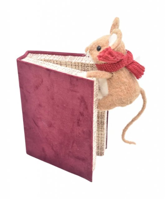 Apac Mouse Climbing Book 23cm