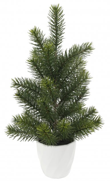 Apac Pine Tree In Pot 38cm