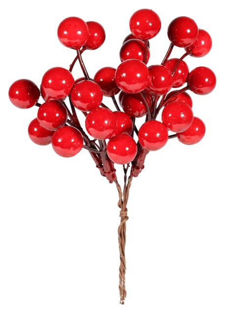 Apac Red Berry Bunch