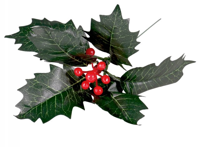 Apac Holly, Ivy & Red Berries 6"