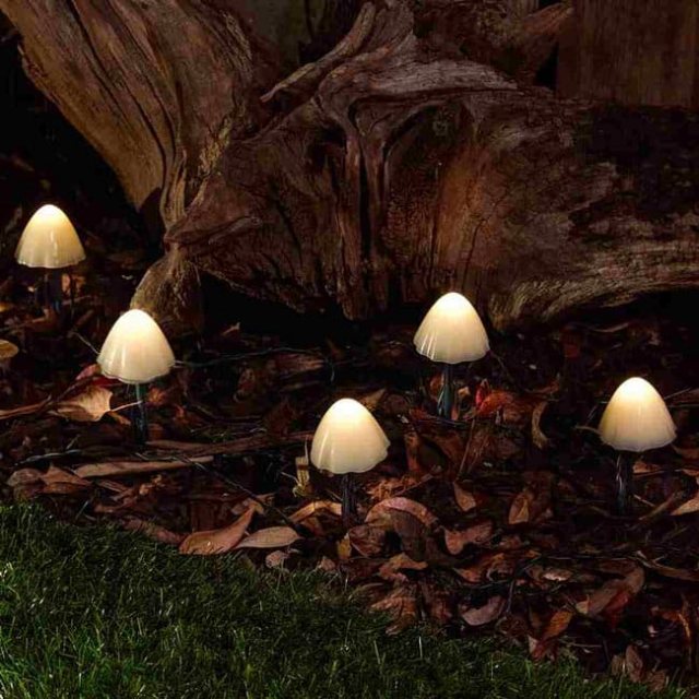 Forest Solar Mushroom Lights 12 Pack