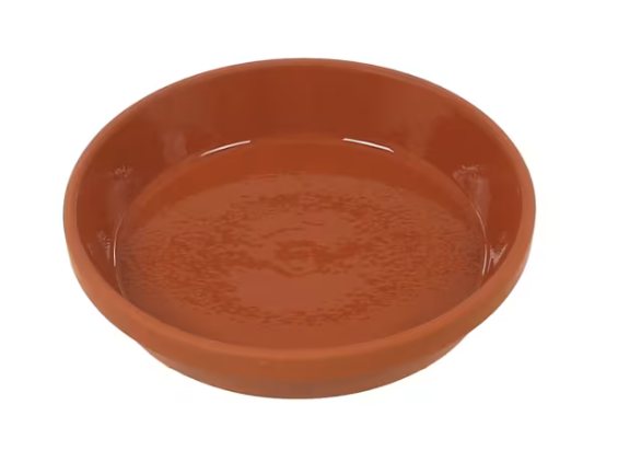 Woodlodge Woodlodge Glazed Saucer