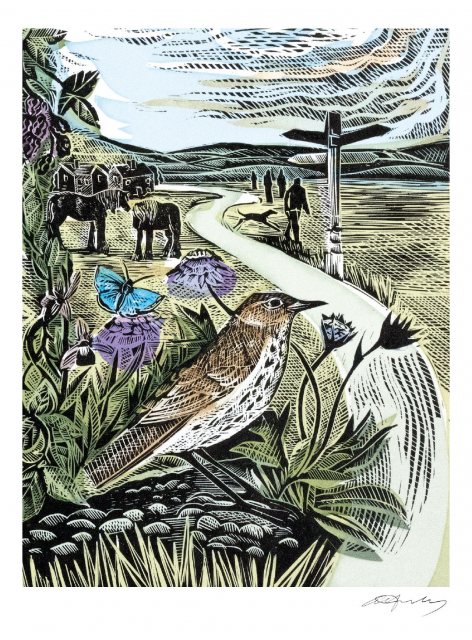 Angela Harding The Common Card