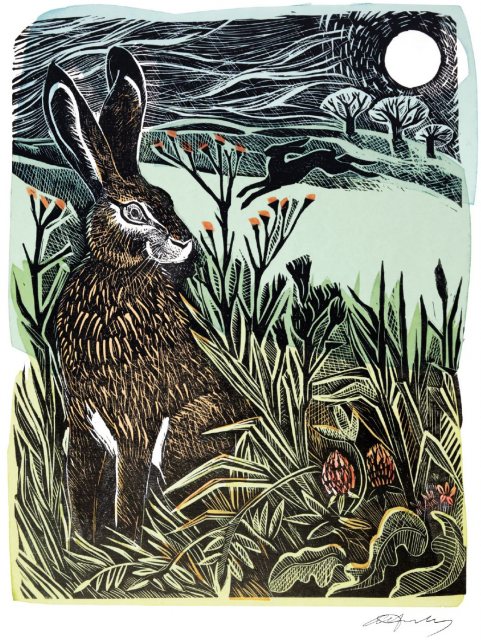 Angela Harding Hidden Hares Card