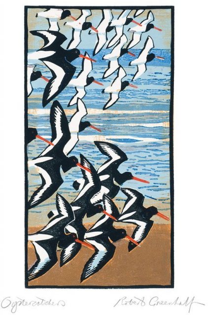 Museums & Galleries Oystercatchers Card