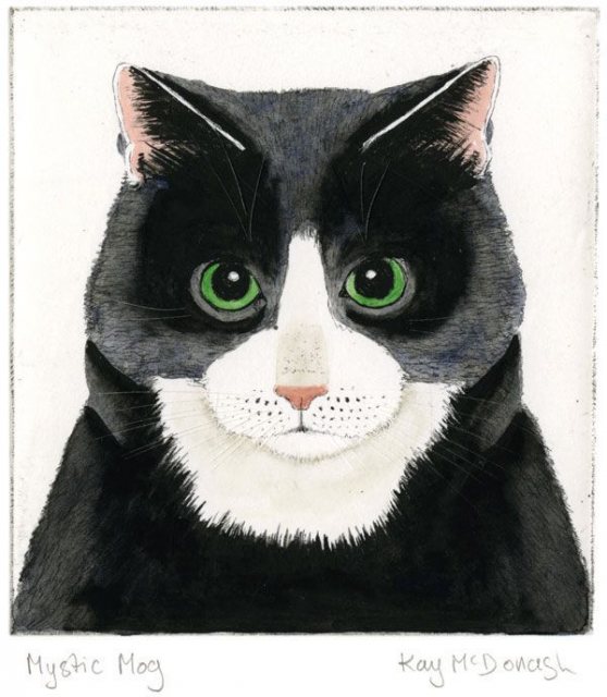 Museums & Galleries Mystic Mog Card