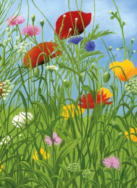 Museums & Galleries Summer Along The Riverbank Card