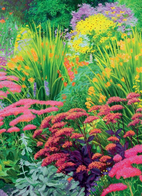 Museums & Galleries Summer Garden Card