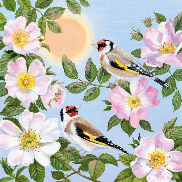 Coast & Country Wild Roses & Goldfinches Card