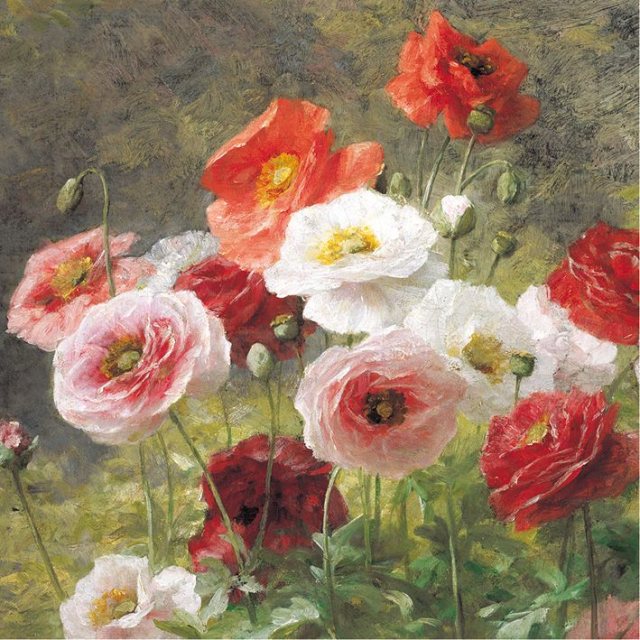 Museums & Galleries Poppies Lemaire Card