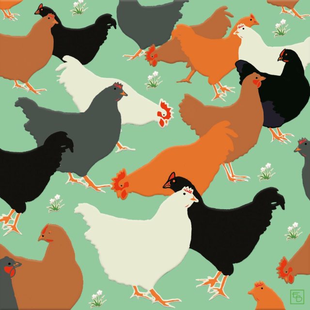 Emily Burningham Hens Card
