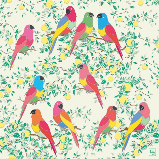 Emily Burningham Parrots Card