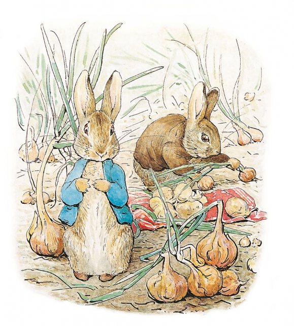 Peter Rabbit & Benjamin Bunny Card