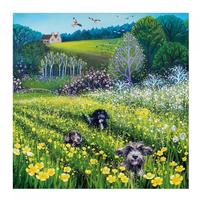 Museums & Galleries Field Of Dreams Card