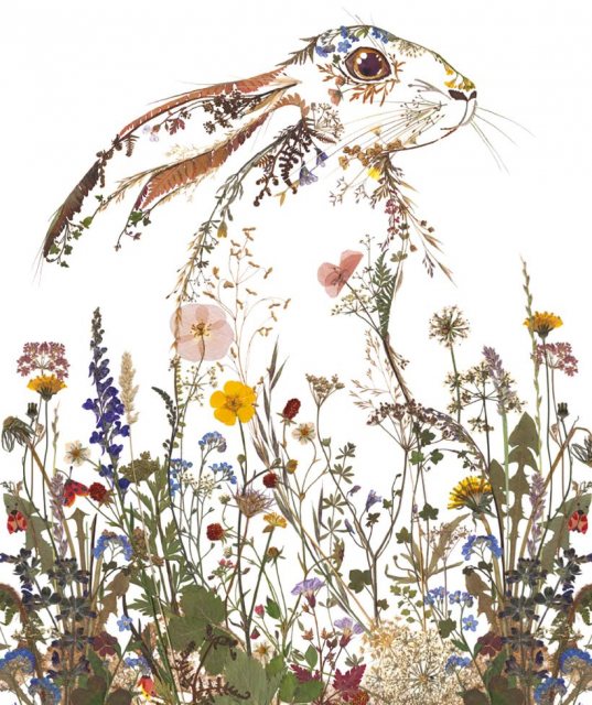 Wild Press Wildflower Hare Card