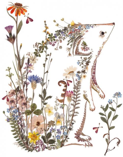 Wild Press Cottage Garden Hedgehog Card