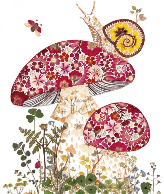 Wild Press Snail & Toadstools Card