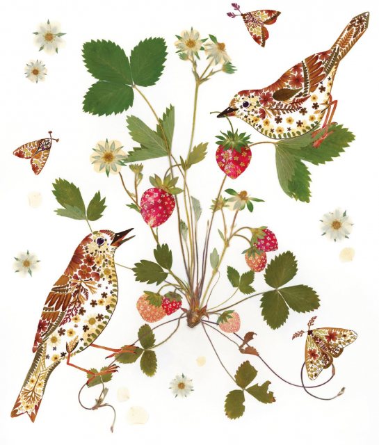 Wild Press Strawberry Thieves Card