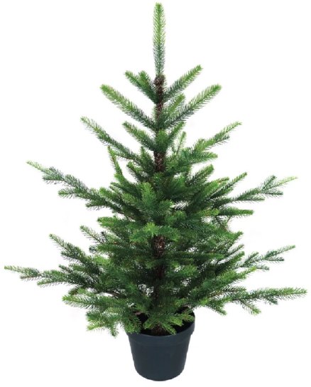 Noma Nordman Fir Potted Tree 3ft
