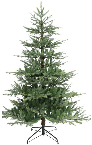 Noma Nordman Fir Tree