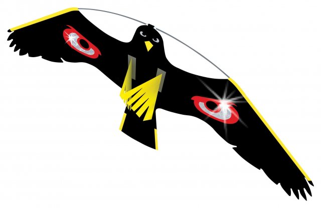 Portek Hawk Kite Bird Scarer