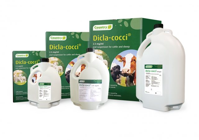 Dicla-Cocci