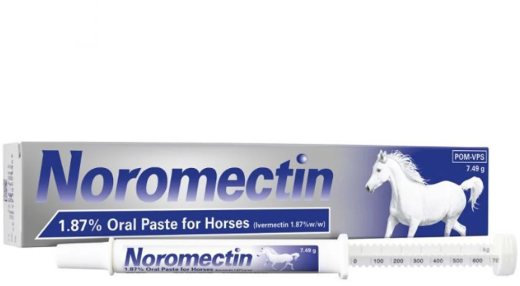 NORBROOK Norbrook Noromection 1.87% Oral Wormer Paster For Horses 7.49g