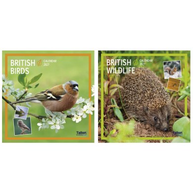 British Birds & Wildlife Square Calendar 2027 Assorted
