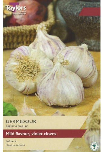 Taylors Bulbs Taylor's Bulbs Germidour French Garlic Bulbs
