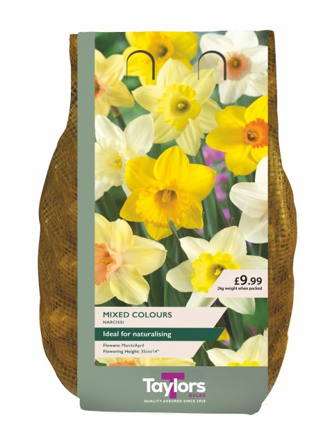 Taylors Bulbs Taylors Bulbs Narcissus Mixed Colours 2kg