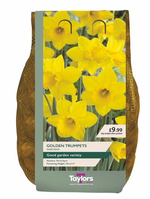 Taylors Bulbs Taylor's Bulbs Golden Trumpets Narcissus Bulbs 2kg