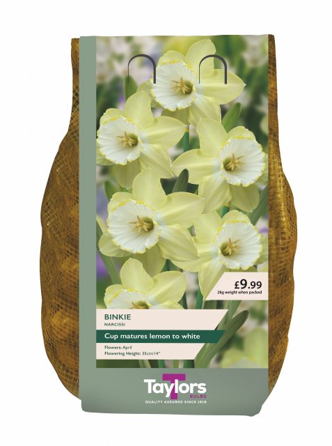 Taylors Bulbs Taylor's Bulbs Binkie Narcissi Bulbs 2kg