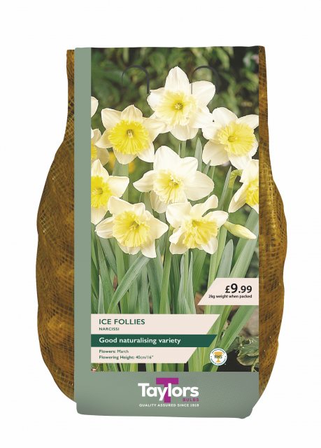 Taylors Bulbs Taylor's Bulbs Ice Follies Narcissi Bulbs 2kg