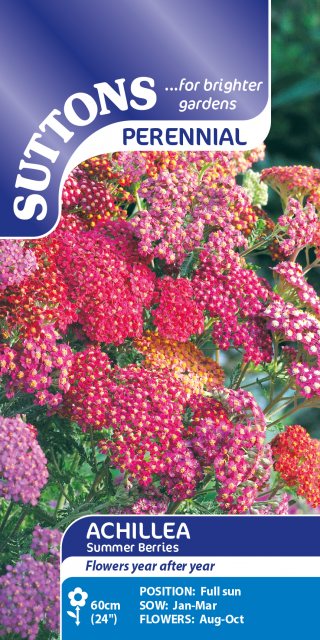 SUTTONS Suttons Achillea Summer Berries Seeds