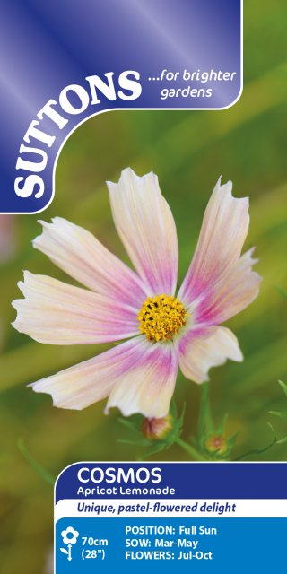 SUTTONS Suttons Cosmos Bipinnatus Apricot Lemonade Seeds
