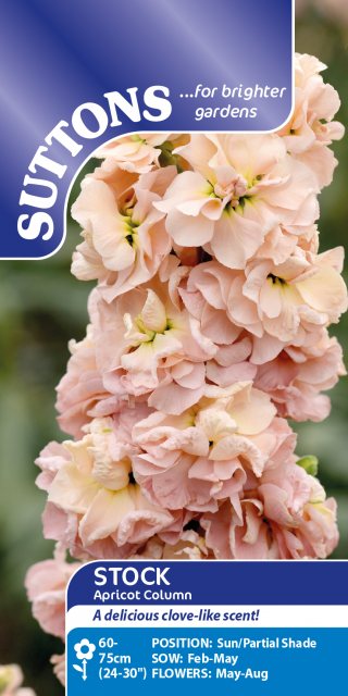 SUTTONS Suttons Stock Apricot Column Seeds