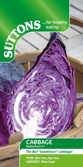 SUTTONS Suttons Matterhorn Cabbage F1 Seeds
