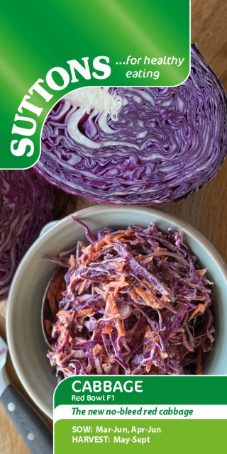 SUTTONS Suttons Red Bowl Cabbage F1 Seeds