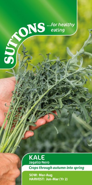 SUTTONS Suttons Jagallo Nero Kale Seeds