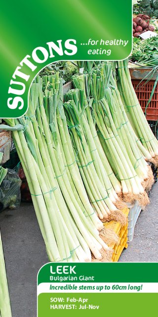 SUTTONS Suttons Bulgarian Giant Leek Seeds