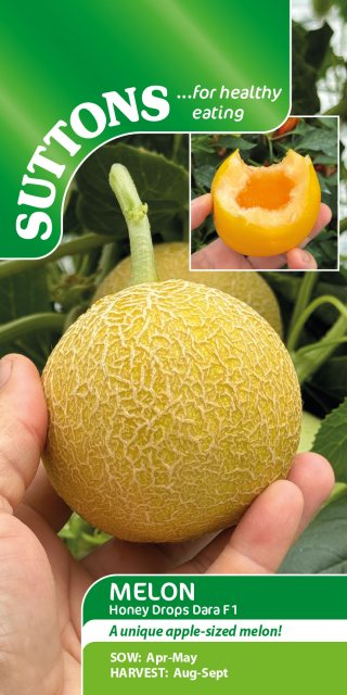 SUTTONS Suttons Honey Drops Dara Melon F1 Seeds