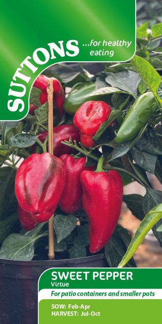 SUTTONS Suttons Virtue Sweet Pepper Seeds