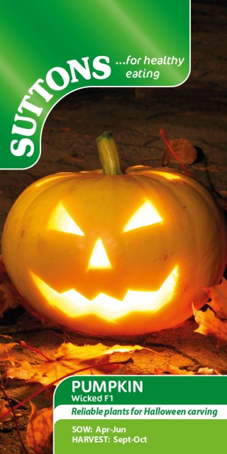 SUTTONS Suttons Wicked Pumpkin F1 Seeds