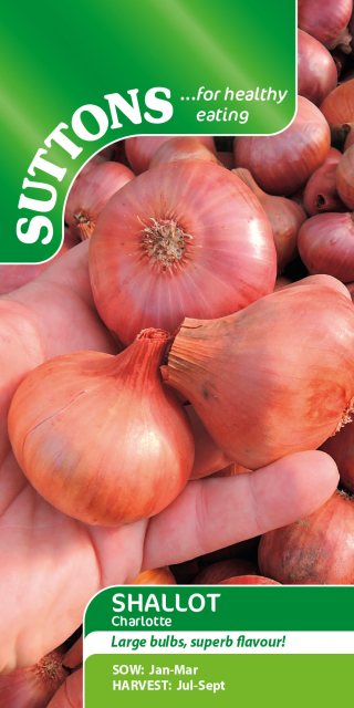 SUTTONS Suttons Charlotte Shallott Seeds