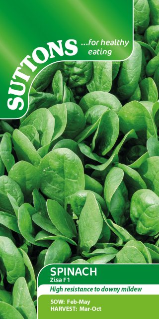 SUTTONS Suttons Zisa Spinach F1 Seeds