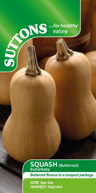 SUTTONS Suttons Butterbaby Butternut Squash Seeds