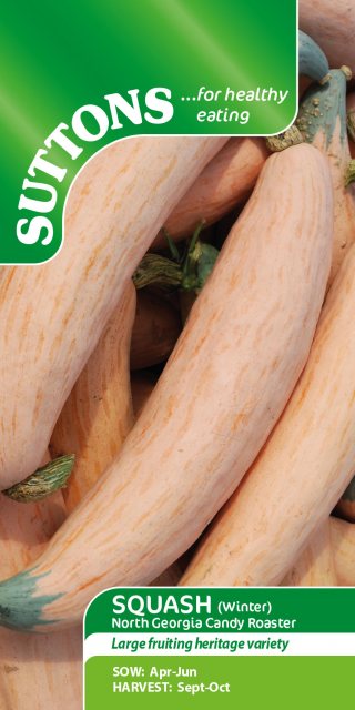 SUTTONS Suttons North Georgia Candy Roaster Winter Squash Seeds